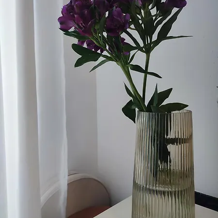 Apartman Tera